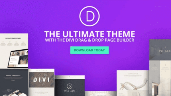 Divi Theme v4.27.4 + Premade Layouts Theme